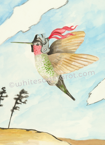 Knight of Swords - Black Seed Tarot - Original watercolor, Hummingbird Art by Theresa Hutch